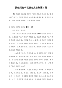 新任纪检书记表态发言集聚4篇