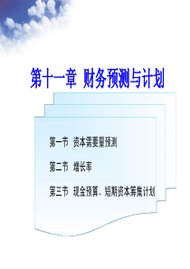 第十一章财务预测与融资计划[PDF]