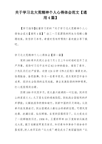 关于学习北大荒精神个人心得体会范文【通用4篇】