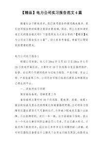 【精品】电力公司实习报告范文4篇