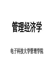 管理经济学（PPT135页）