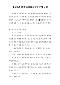 【精品】调查实习报告范文汇聚4篇