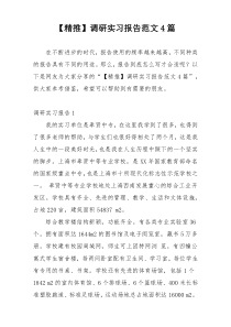 【精推】调研实习报告范文4篇