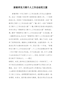 新教师见习期个人工作总结范文篇