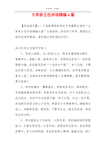 大学班主任评语精编4篇