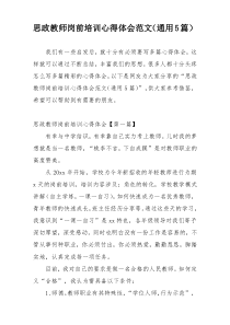 思政教师岗前培训心得体会范文（通用5篇）