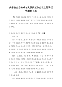 关于在全县未成年人保护工作会议上的讲话稿最新5篇