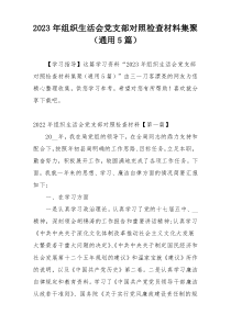 2023年组织生活会党支部对照检查材料集聚（通用5篇）