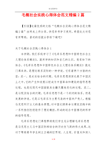 毛概社会实践心得体会范文精编2篇