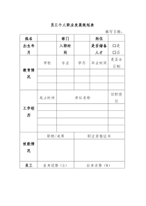 员工个人职业发展规划表空白