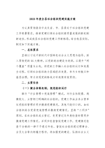 关于2023年度全县社会组织党建实施方案