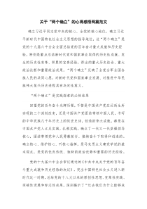 关于“两个确立”的心得感悟两篇范文