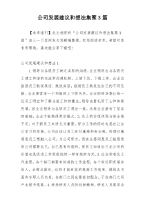 公司发展建议和想法集聚3篇