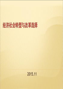 经济社会转型与改革选择