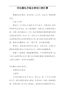 司仪婚礼开场主持词三例汇聚