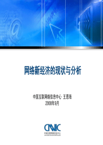 网络新经济的现状与分析