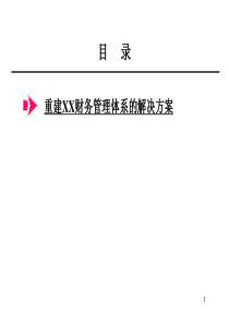 罗兰贝格—某大型企业集团财务解决方案