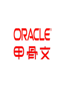 Oracle大数据解决方案24