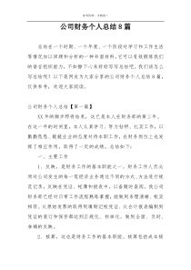 公司财务个人总结8篇