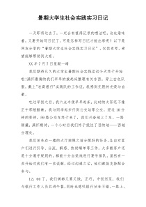 暑期大学生社会实践实习日记