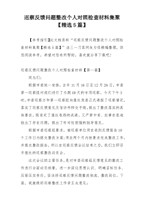 巡察反馈问题整改个人对照检查材料集聚【精选5篇】