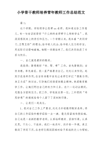 小学骨干教师培养青年教师工作总结范文