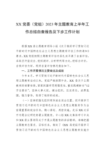 XX党委（党组）2023年主题教育上半年工作总结自查报告及下步工作计划