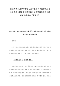 2023年在开展学习贯彻习近平新时代中国特色社会主义思想主题教育主题党课上的讲话稿与学习主题教育