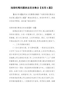 违规吃喝问题表态发言集合【实用4篇】