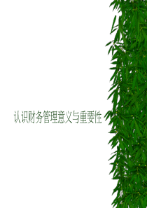 认识财务管理意义与重要性(1)