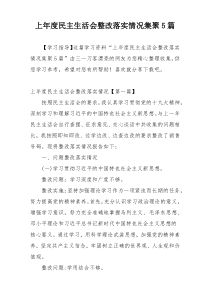 上年度民主生活会整改落实情况集聚5篇