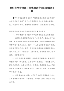 组织生活会批评与自我批评会议记录通用5篇