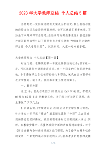 2023年大学教师总结_个人总结5篇