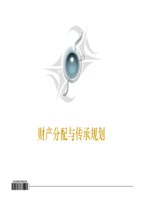 财产分配与传承规划(pdf 144)