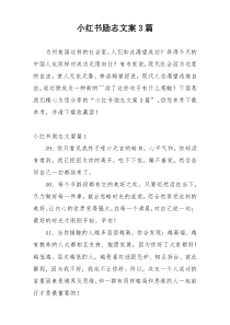 小红书励志文案3篇