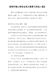 营商环境心得体会范文集聚【热选4篇】