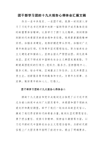 团干部学习团的十九大报告心得体会汇篇文稿