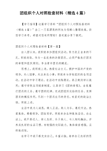 团组织个人对照检查材料（精选4篇）