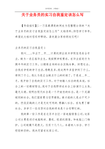 关于业务员的实习自我鉴定该怎么写