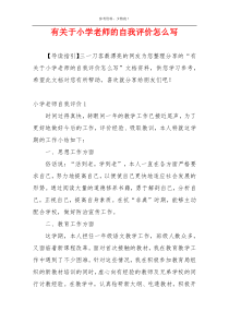 有关于小学老师的自我评价怎么写