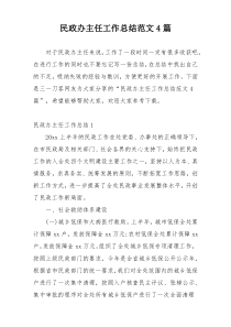 民政办主任工作总结范文4篇