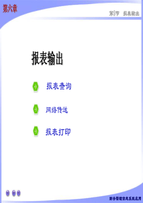 财务管理信息系统应用