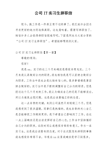 公司IT实习生辞职信