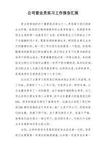 公司营业员实习工作报告汇报