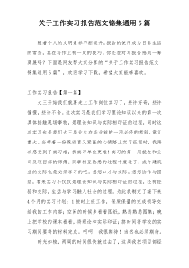 关于工作实习报告范文锦集通用5篇