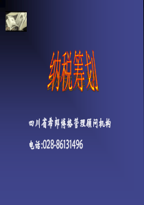 财务管理：纳税筹划5ppt