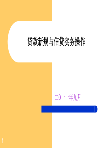 贷款新规与信贷实务操作