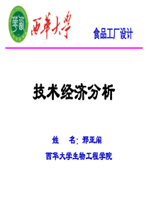 邢亚阁第十章技术经济分析