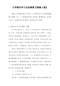 大学期末学习总结集聚【精编4篇】