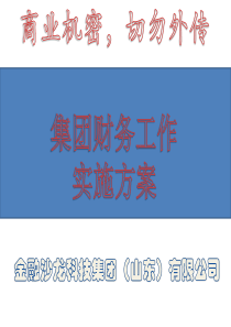 集团财务工作实施方案-最新-更实用